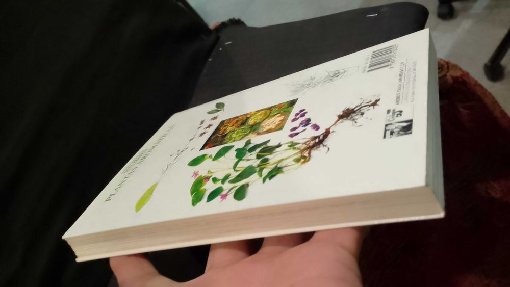 Plantas Aromáticas, Guia Prático - Lesley Bremness