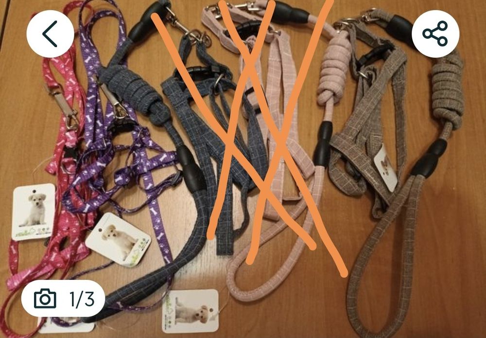 Шлейка поводок ошейник для  кота собаки с бубенцом