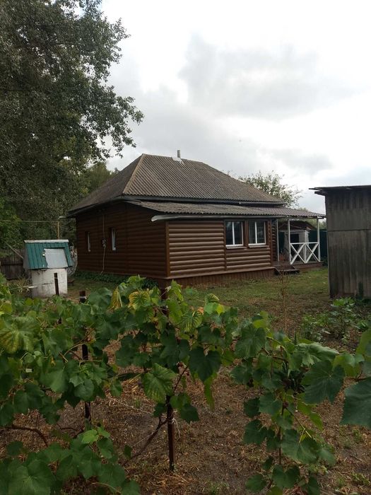 Продаж будинку с.Коломійцівка, Носівка
