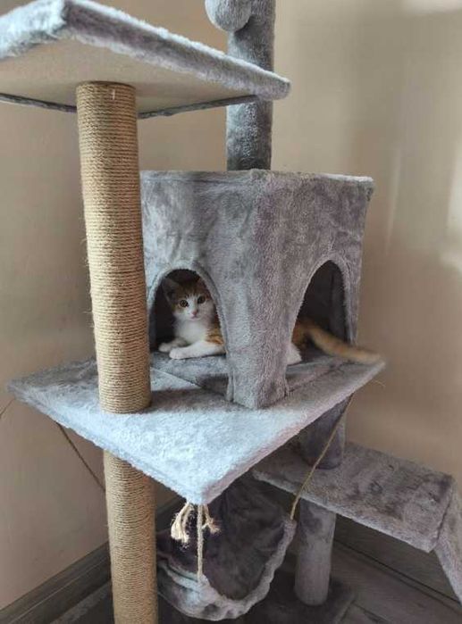 Drapak dla kota wieża legowisko domek 5 poziomów wysoki stabilny