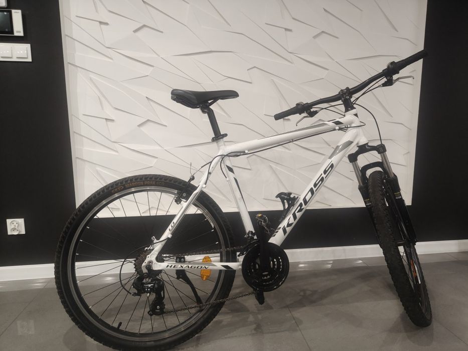 Rower Kross hexagon 1.0  rama L
