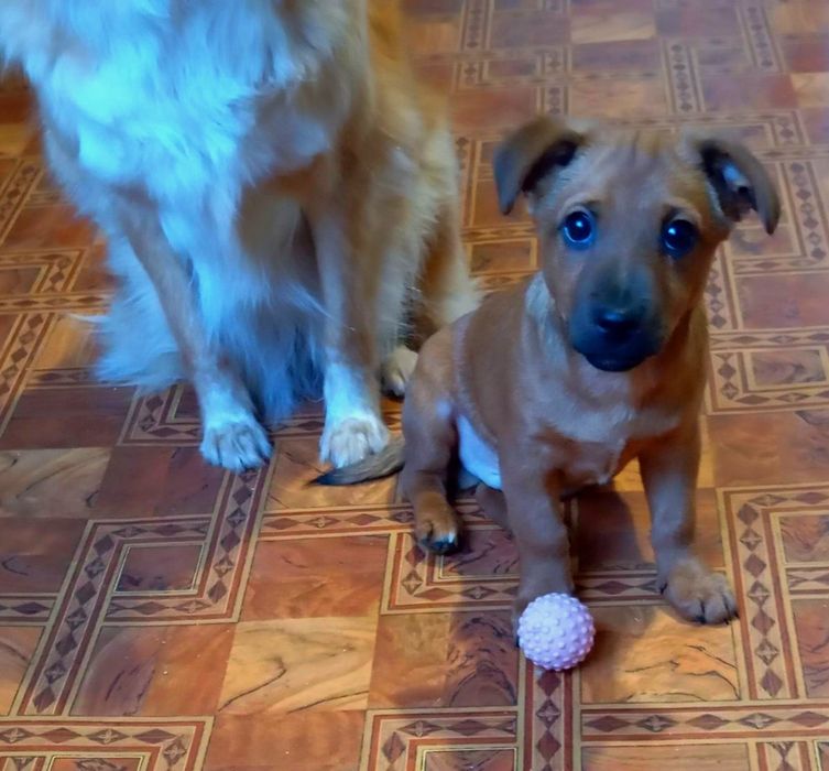 Неемоверная красотка Бесплатно