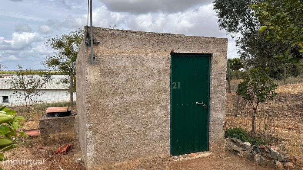 Quinta em Trigaches — 1 hectare em comunhão com a natureza