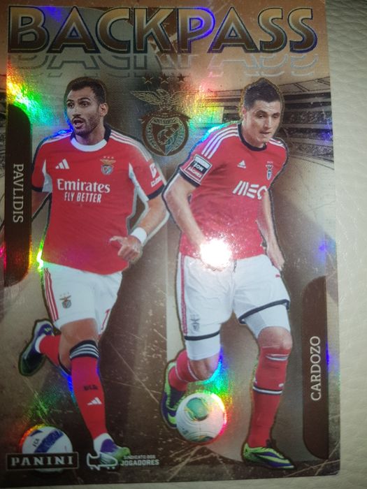 Panini cromo especial