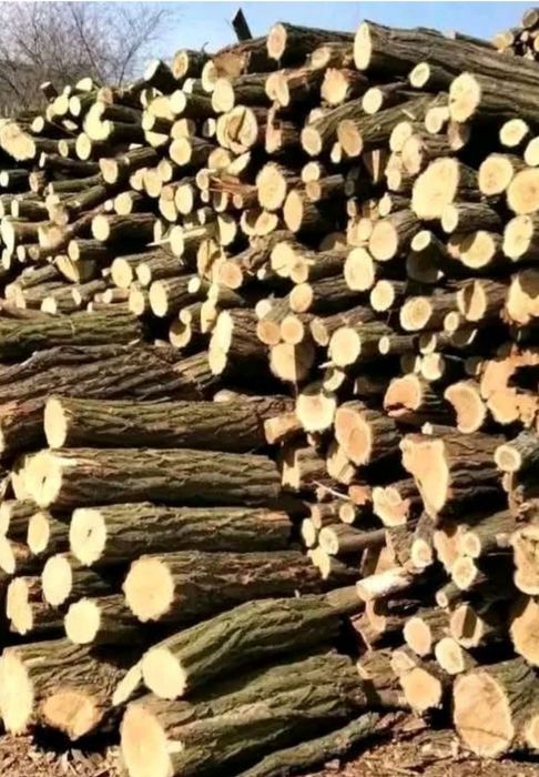 Дрова твёрдых пород... Акция, Дуб, Ясень.