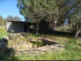 Terreno rustico isolado para venda castelo branco  (Benquerenças)