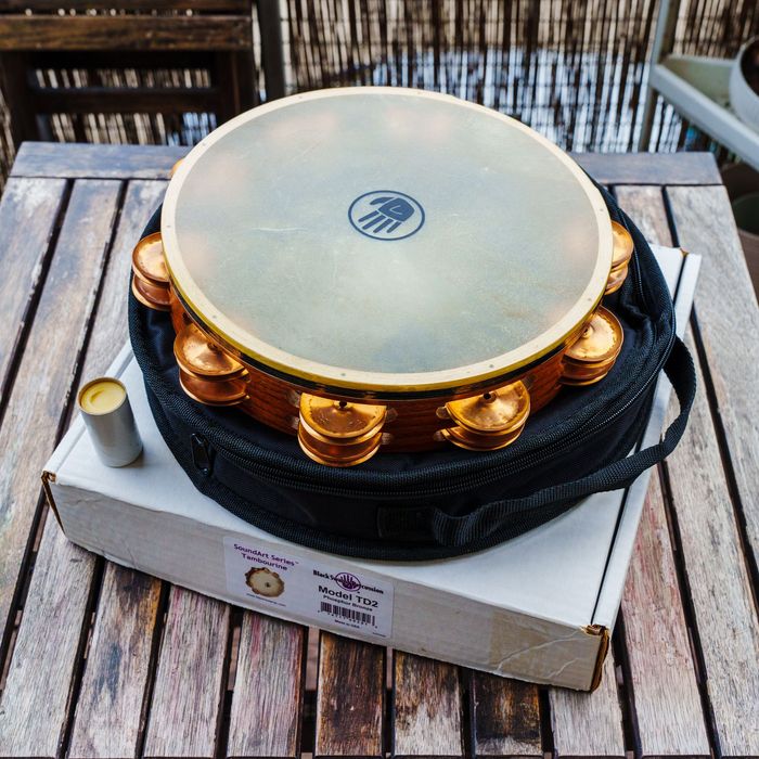 Tamburyn Black Swamp Percussion TD2 Phosphor Bronze 10" – stan bardzo dobry + case Faktura VAT 23%