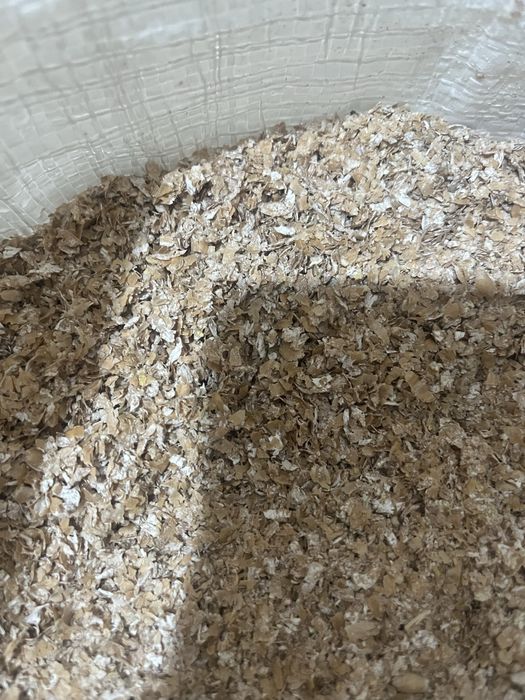 Висівки пшеничні