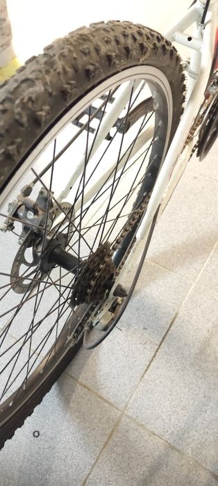 Bicicleta team TM26 Venus