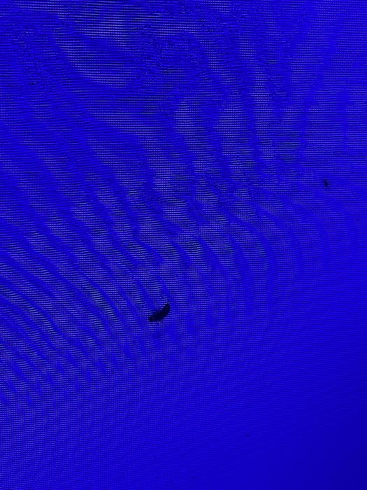 телевизор bravis