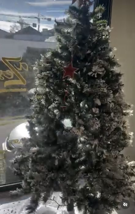 Arvore de natal