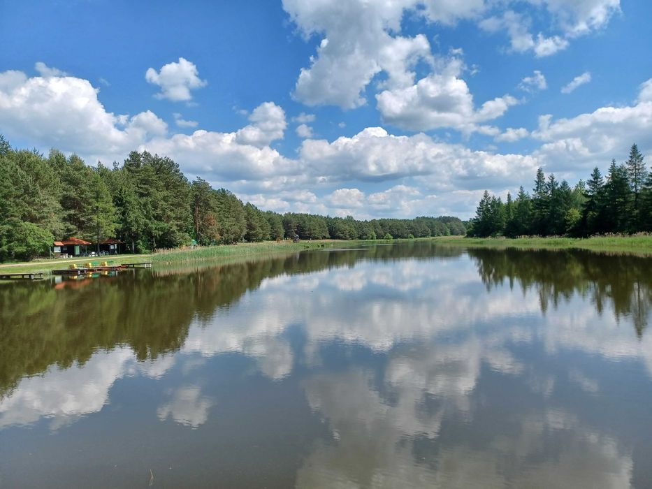 Agroturystyka,Balia,Noclegi,Wieczór Panieński,Dom Puszcza Białowieska