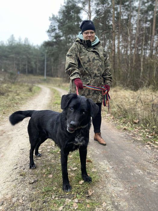 Czy niedowidzący pies ma szanse na dom?