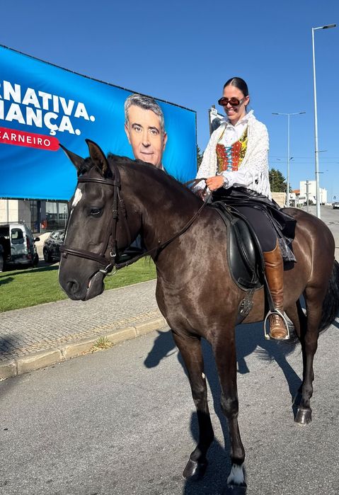 Poldra de 3 anos