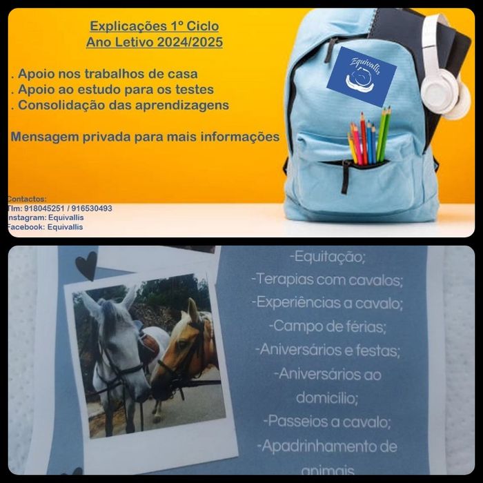 Explicações, equitação , terapias