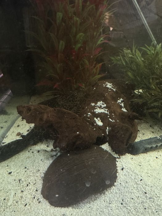 Акваріум 450л повний комплект: тумба, обладднання, декор +