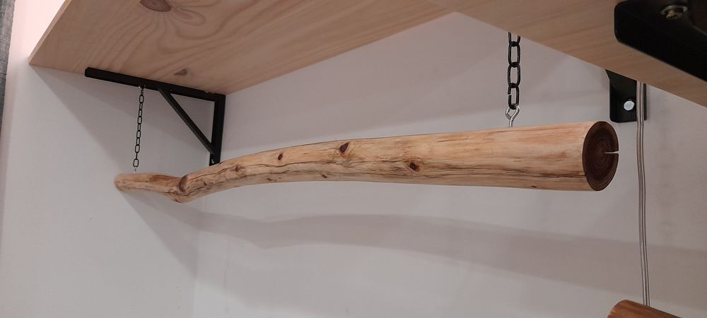 Bengaleiro, charriots em troncos naturais