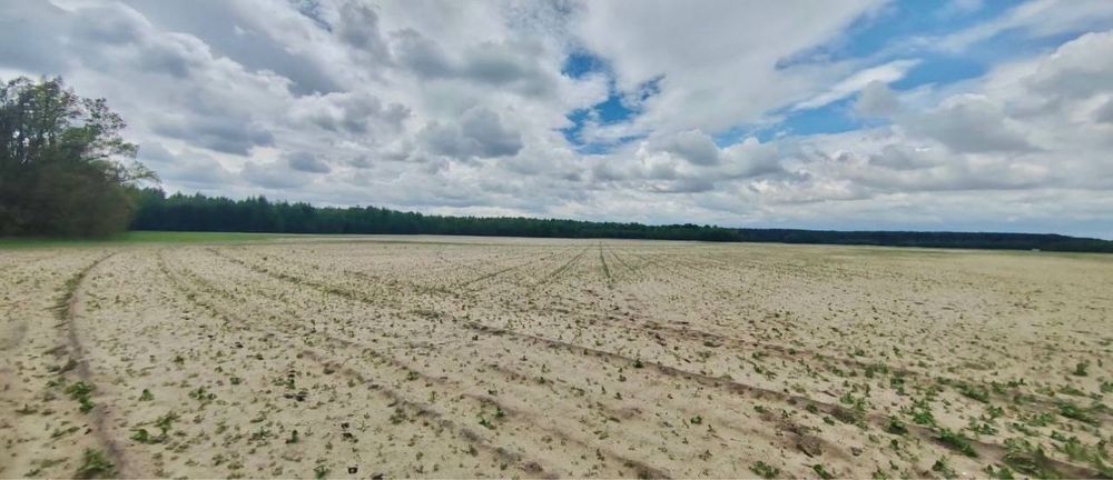 Земельна ділянка 27га. с. Андріївка