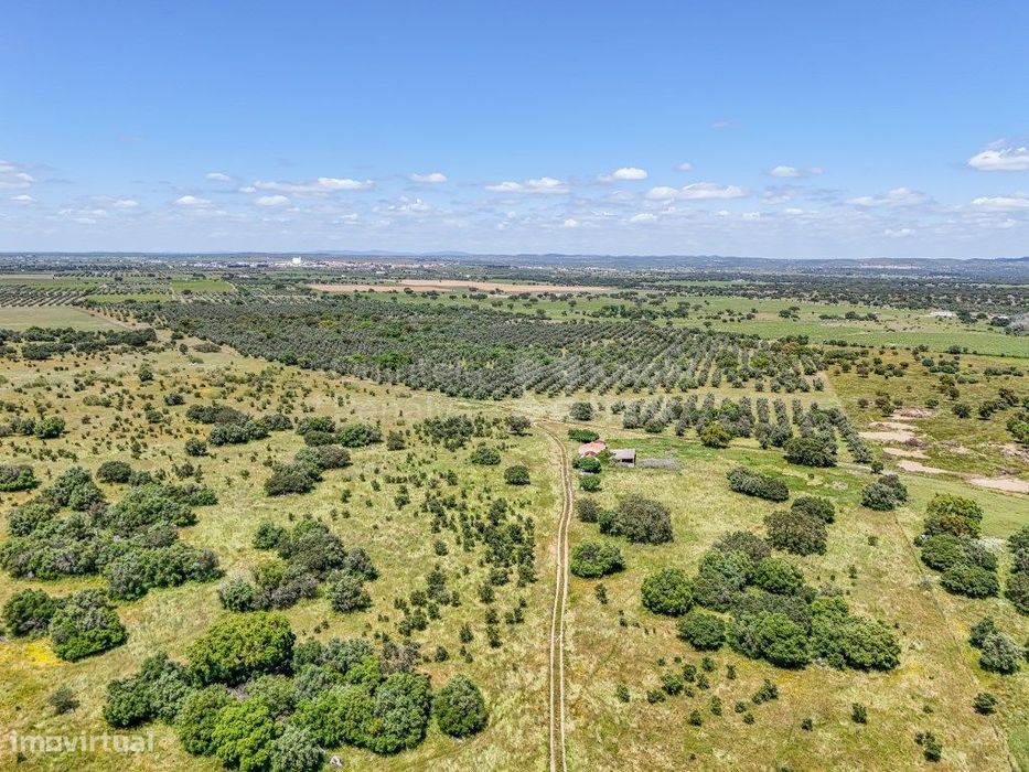 Terreno com 105 ha para venda em Reguengos de Monsaraz