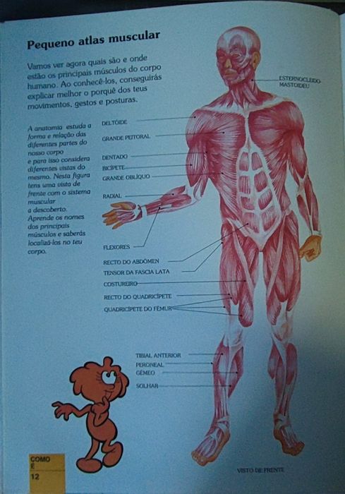 Enciclopédia "Era uma vez o corpo humano"