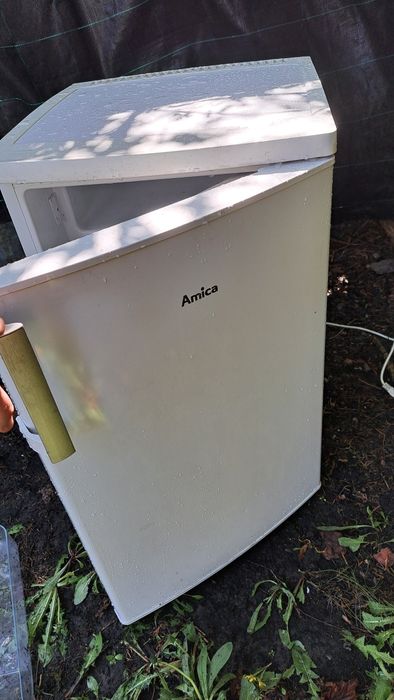 Lodowka Amica oddam