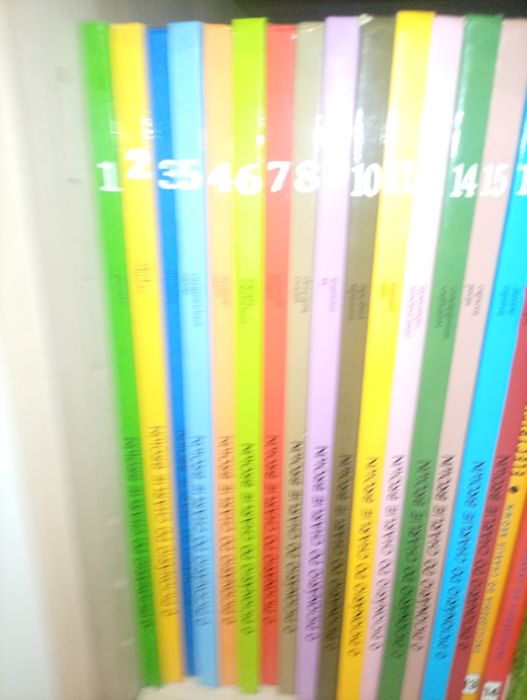 Livros/ Dicionário Charlie brown