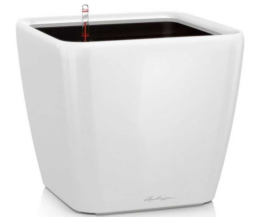 Lechuza Quadro Premium Ls 28 Donica, Biały, 28x28x26 cm