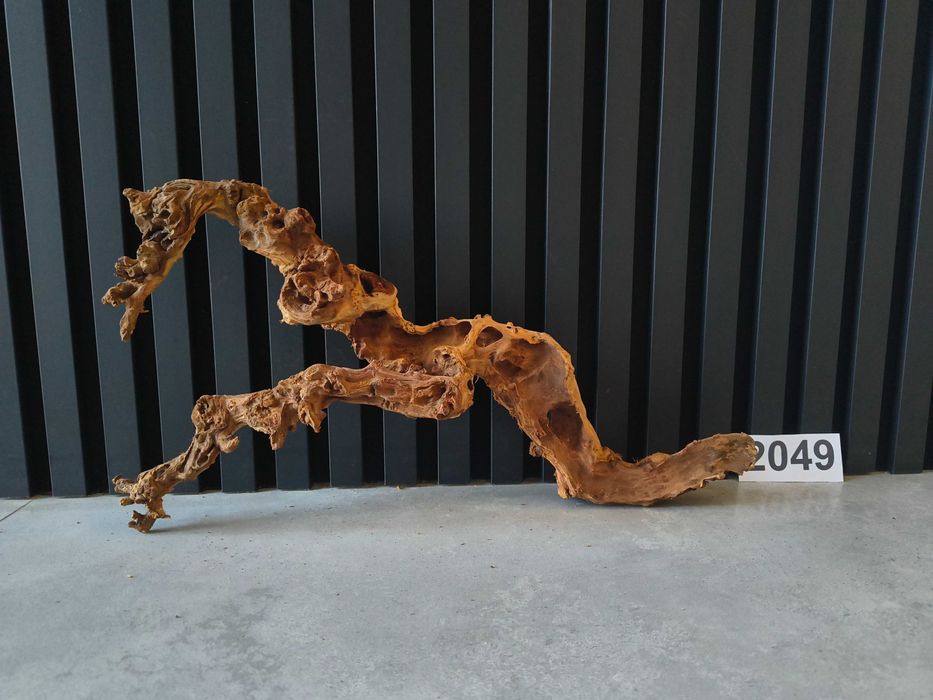 korzeń Bell Wood masywny 2049 do akwarium terrarium NOWOŚĆ 28x49x11