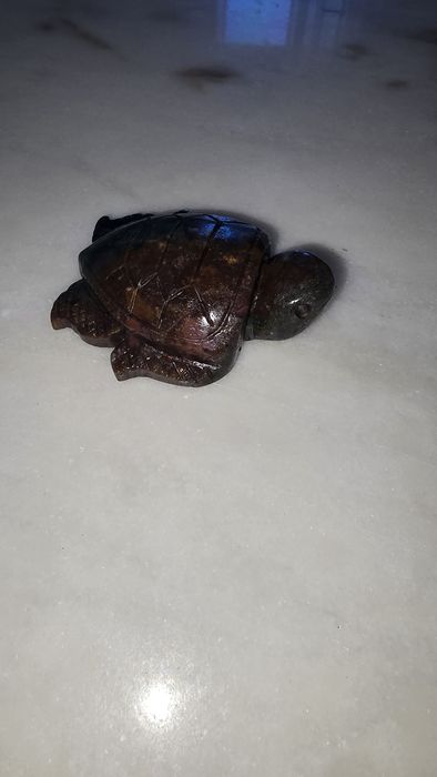 Ocean Jasper tartaruga