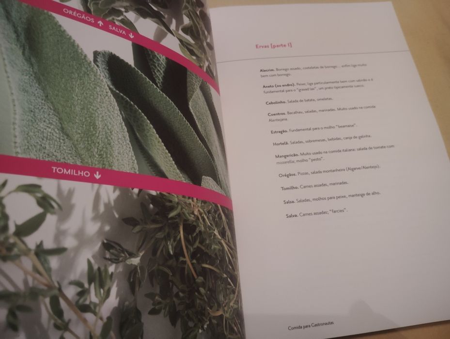 Livro Comida Para Gastronautas Como Novo