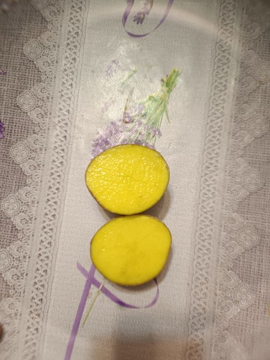 Ziemniaki jadalne Soraya Melody