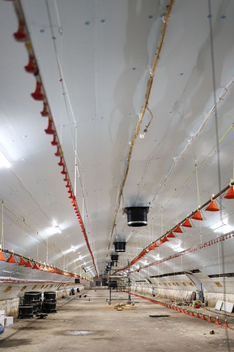 Błękitne Panele Izolacyjne Podsufitka Styrodur XPS AGRO 4,5,6,8,10,12