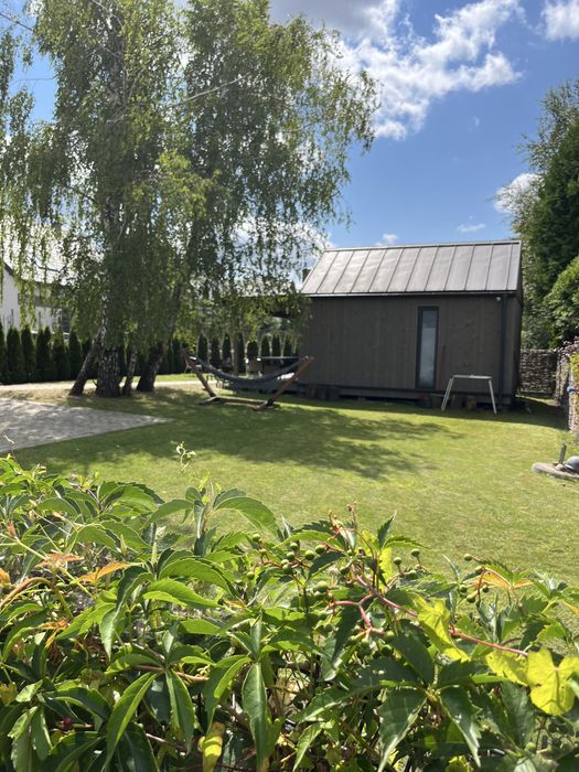 Okuninka Jezioro Białe, blisko plaży