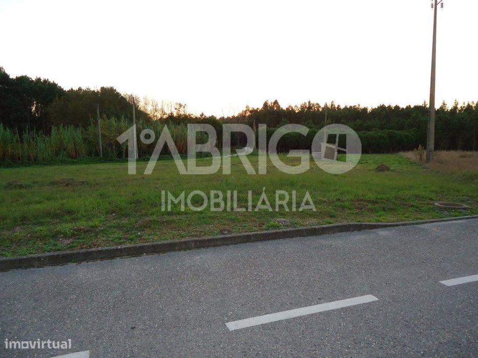 Terreno — Moita, Leiria