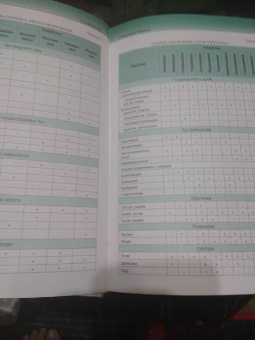 Справочник Грибника