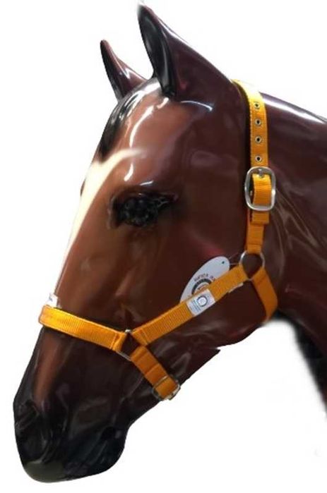 Cabeçoes De estábulo