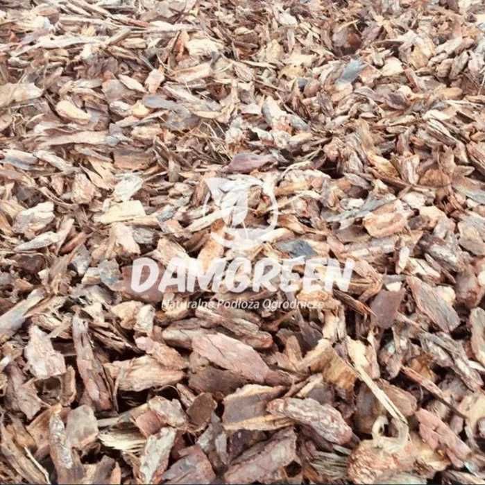 Kora Sosnowa 80L Transport Gratis