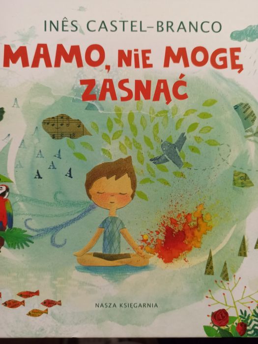 Mamo nie mogę zasnąć Inês Castel-Branco

Książka dla dzieci