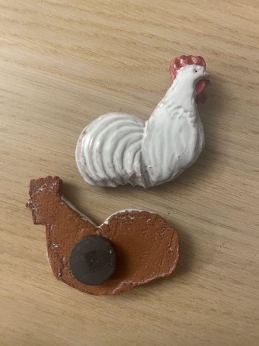 Magnes kogut z Cisnej w Bieszczadach