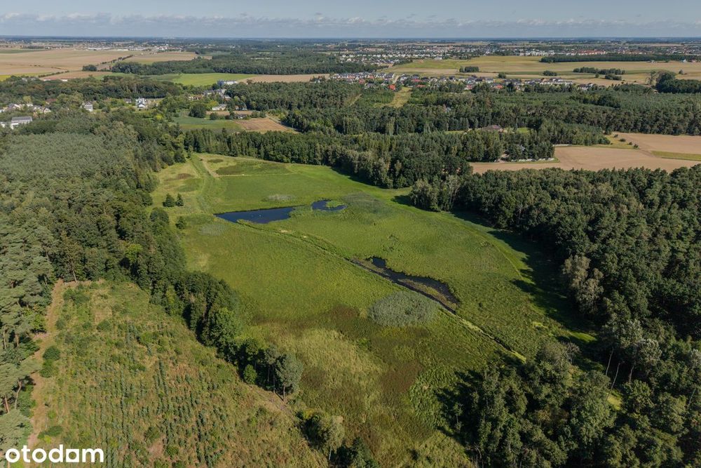 Rezydencjonalna działka 3951 m² z WZ | Napachanie | ul. Leśna