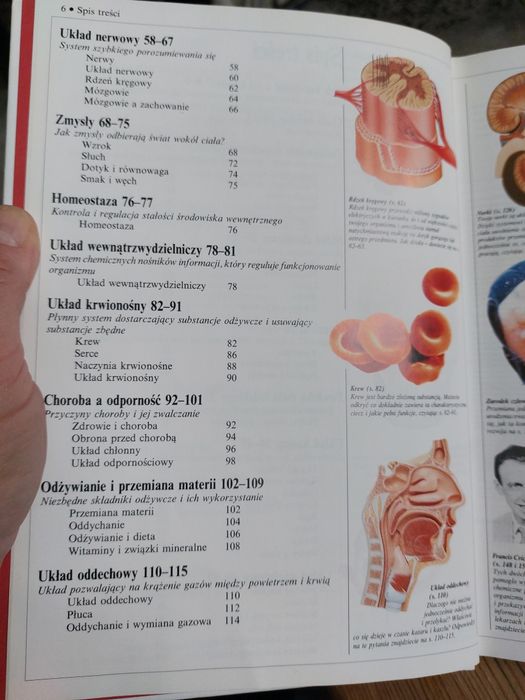 Nauka o człowieku Ilustrowany słownik szkolny