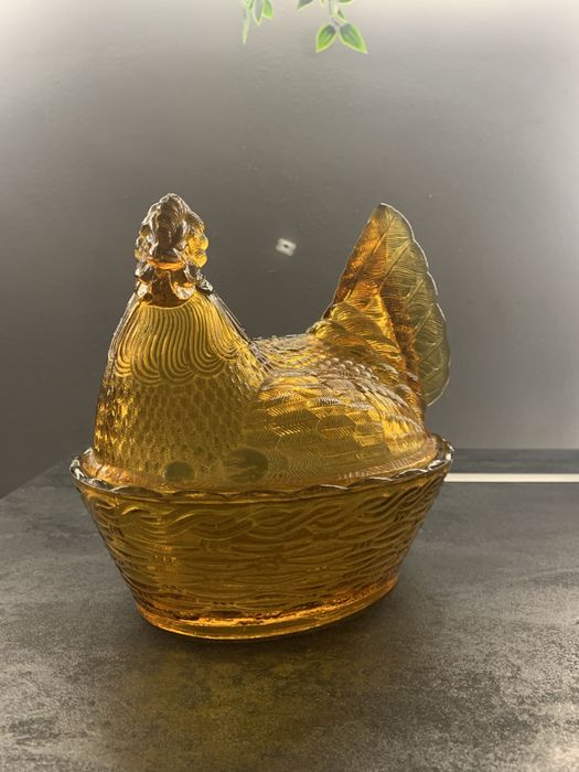 kura miodowa bursztynowa