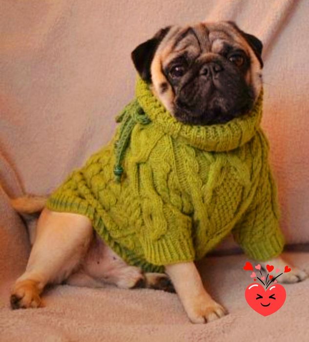 Ждем девочек на вязку