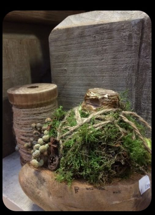 5 wersji Cebula amarylisa w zimowej oprawie