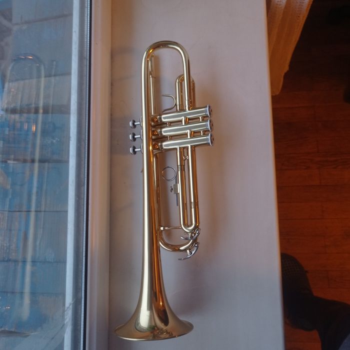 Труба Maxtone  НОВИЙ / NOS / кейс + мундштук / Київ