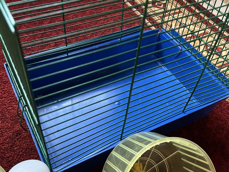 Клітки для хомяків і аксесуари