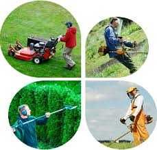 Fazense linpezas de terrenos agrícolas  e mato silvas corte de  árvore