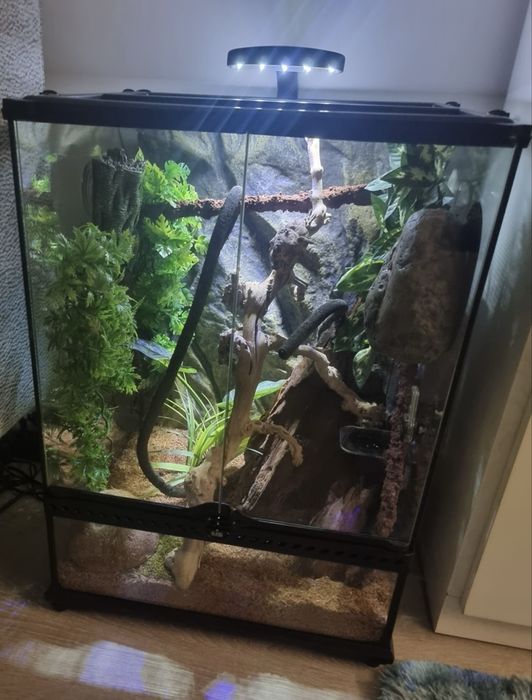 Vendo Terrário Exo Terra 45x45x60 cm – Completo e Equipado para Gecko-de-Crista