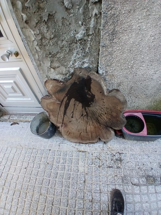 Rodela de Austrália