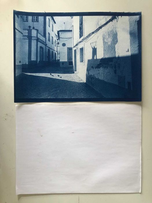 Cianotipia A4 - "Pombos em abertura de luz"